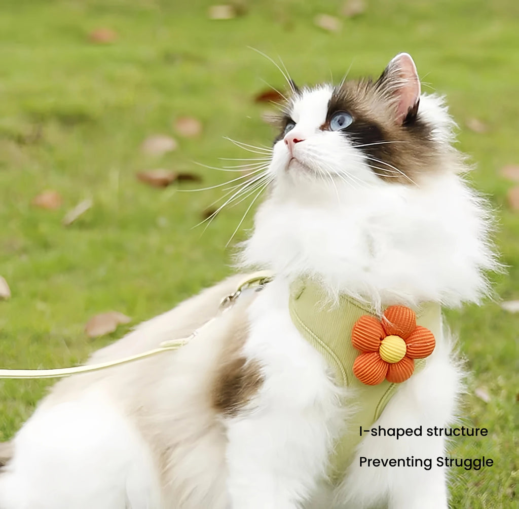 Flower Cat Harness with Leash, Vest Style for Small Pets