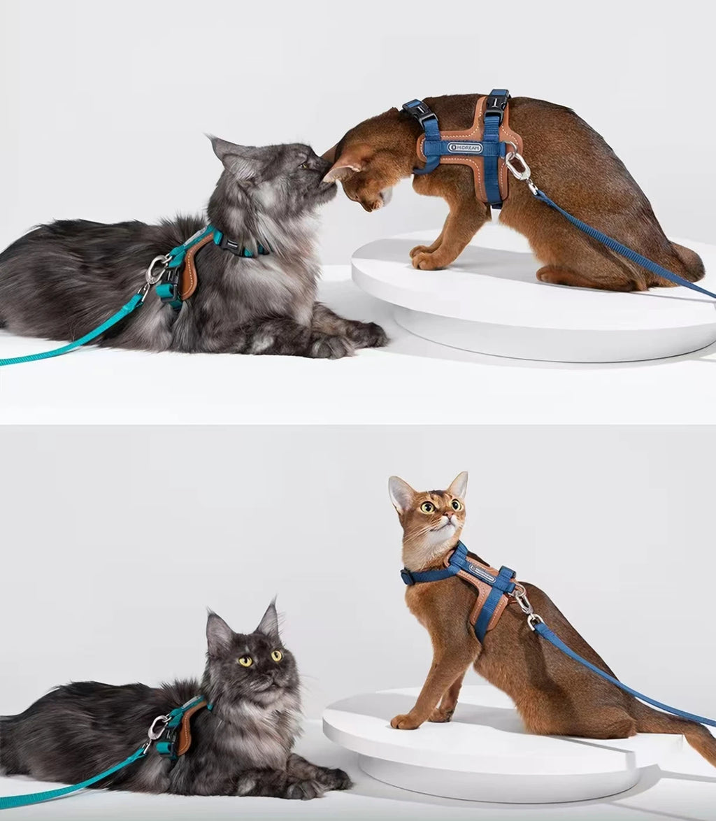HiDREAM Leather Cat Harness and Leash Set - Adjustable Escape-Proof H-Style Vest