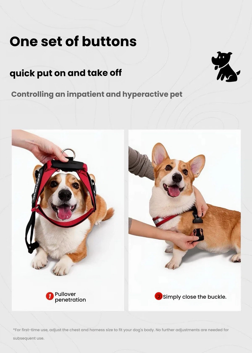 EzyDog Express Dog Harness.