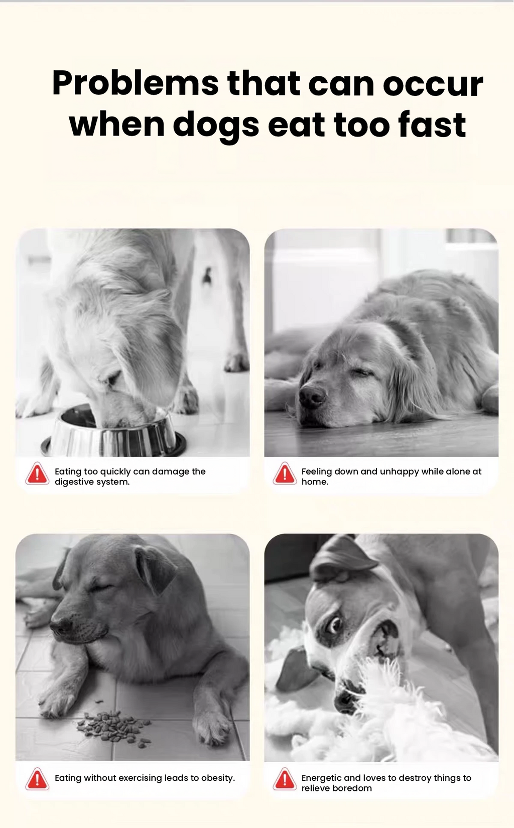 HOWGO Silicone Enrichment Mat – Slow Feeder & Lick Mat for Small & Medium Dogs