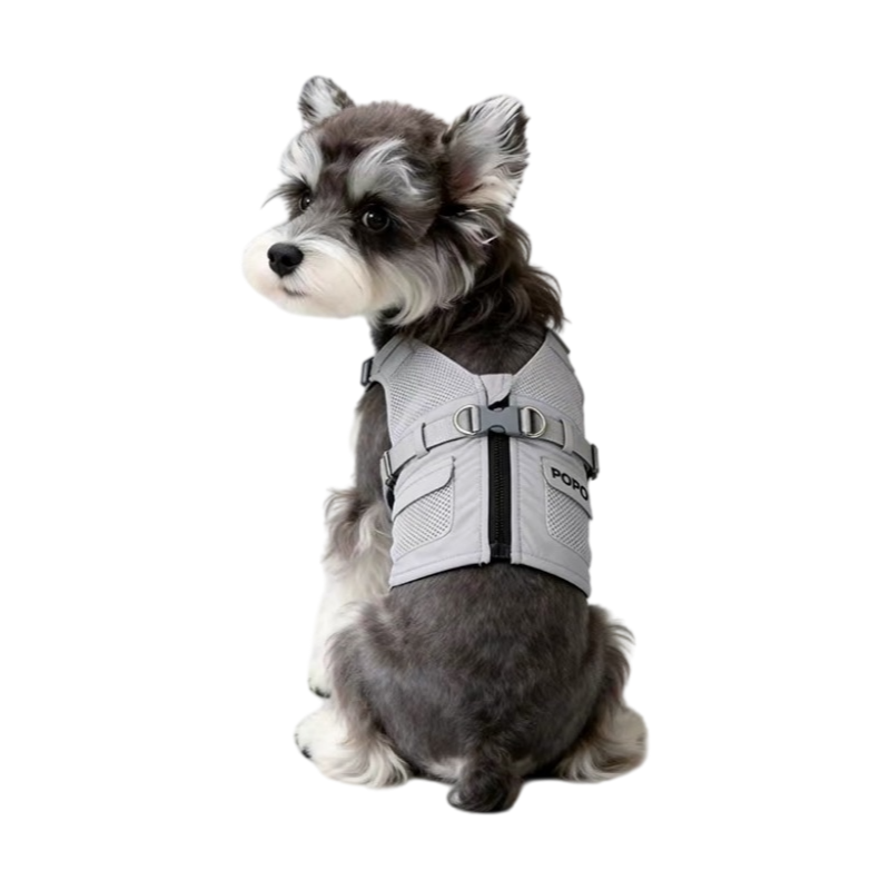 POPOCOLA Lightweight Cooling Dog Vest with Harness – Summer Walking Vest