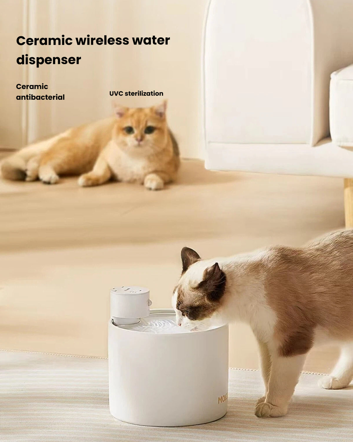 Cats drinking from the Gen 5 ceramic cordless water fountain