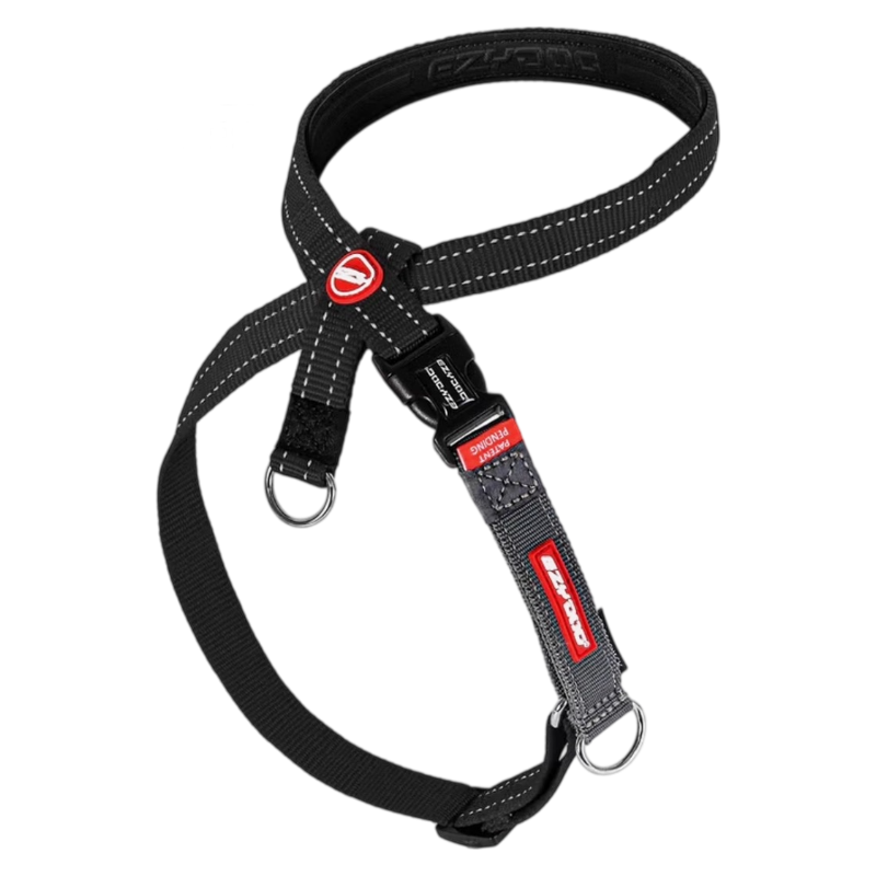 EzyDog Cross Check Dog Harness