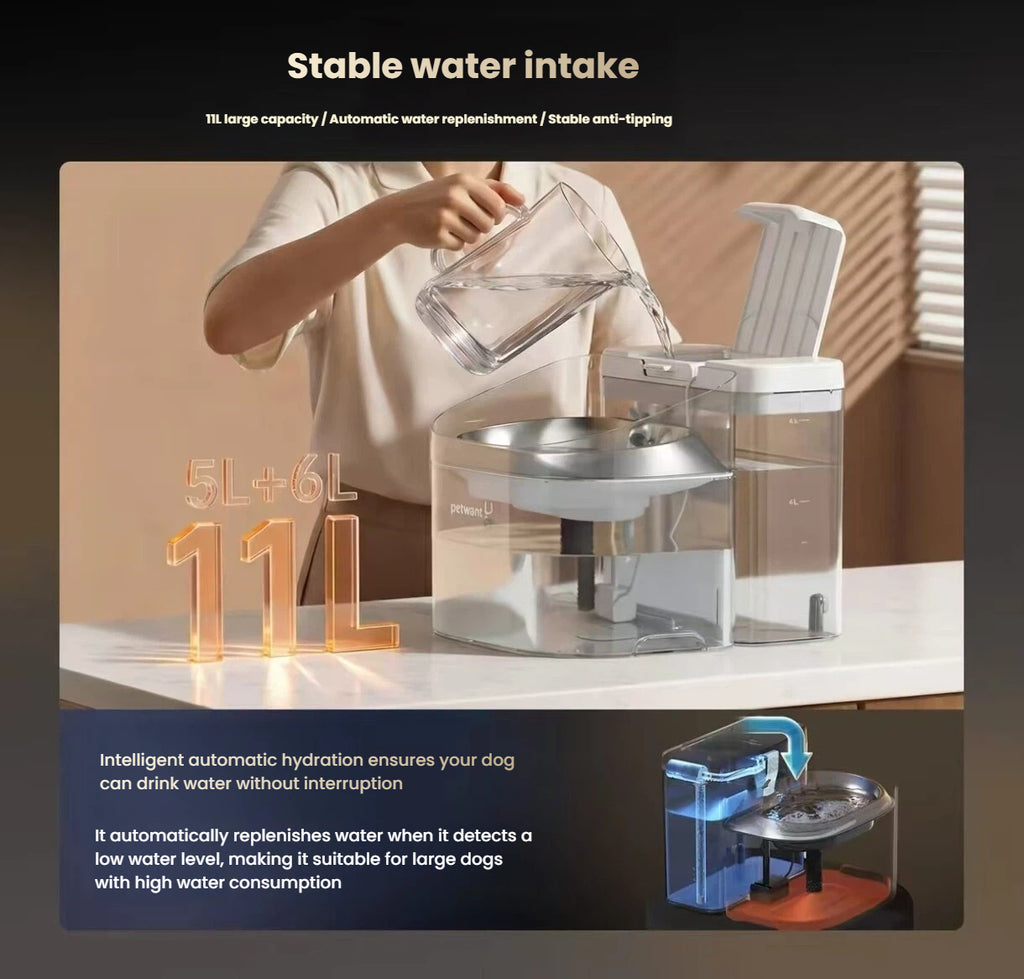 Petwant W14 11L Large Dog Water Fountain, Automatic Circulating