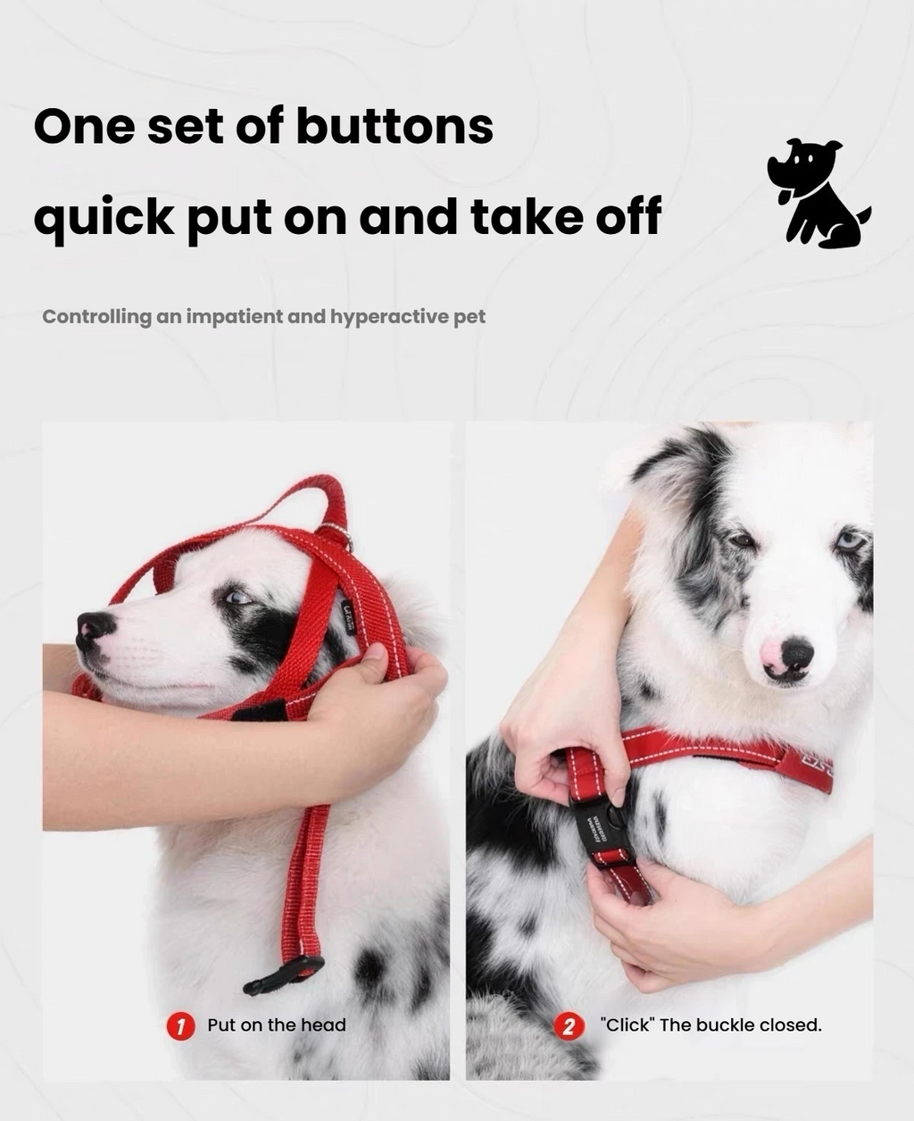 Two-step illustration of fitting and buckling an EzyDog Quick Fit harness