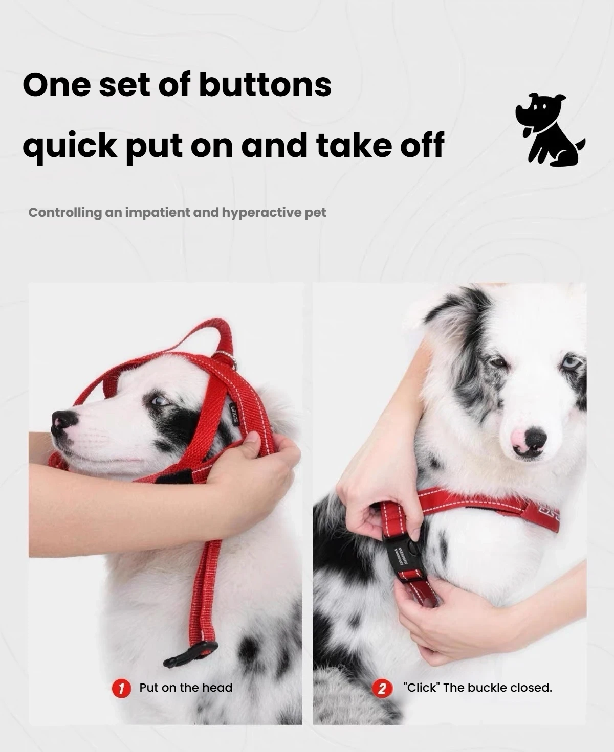 Two-step illustration of fitting and buckling an EzyDog Quick Fit harness