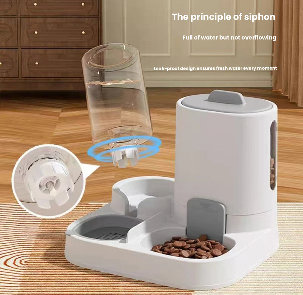 Cat & Dog Food Water Bowl Set, 2-in-1 Pet Feeding Bowl
