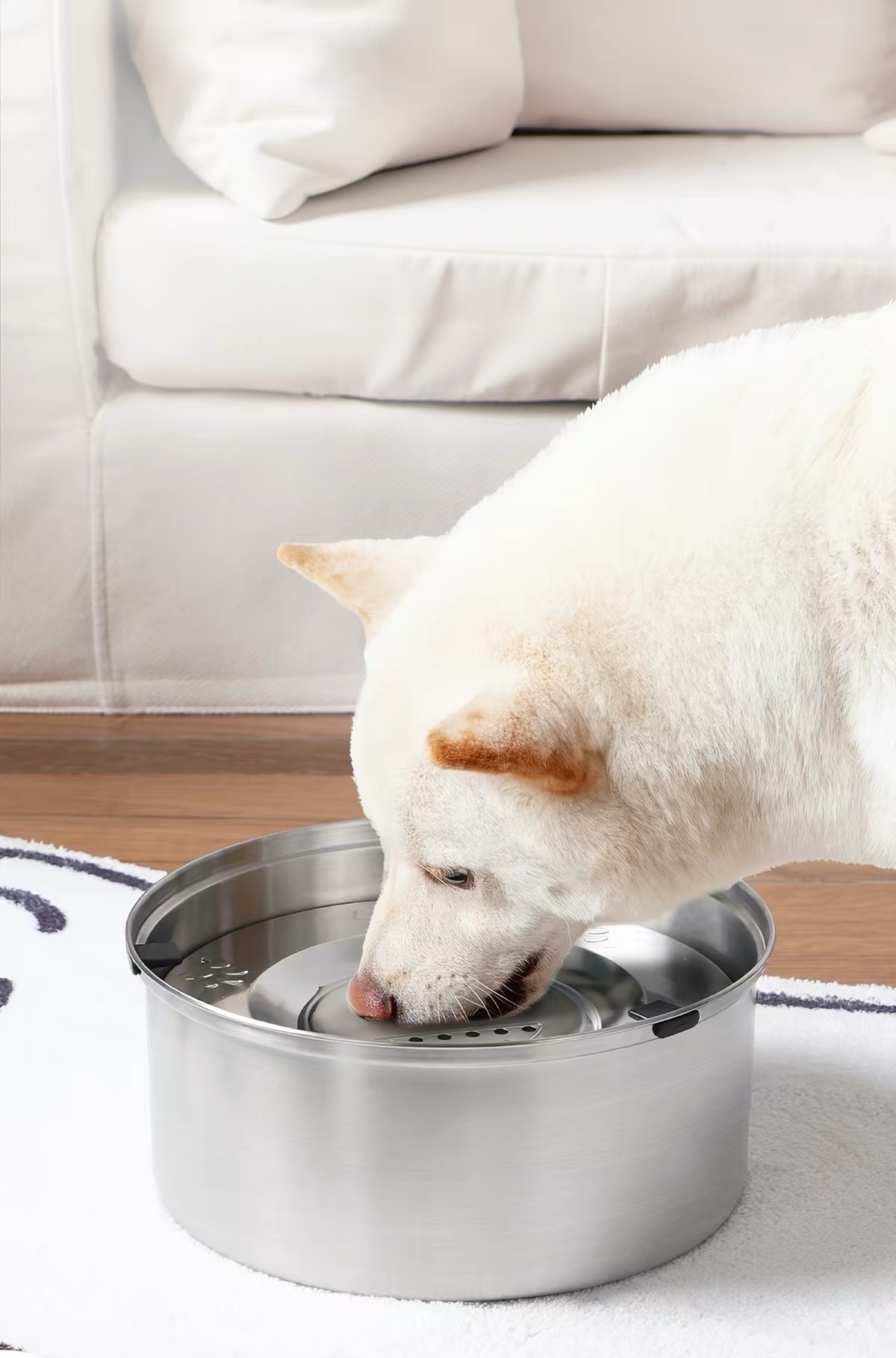 POPOCOLA Stainless Steel Floating Pet Water Bowl – Spill-Resistant Design
