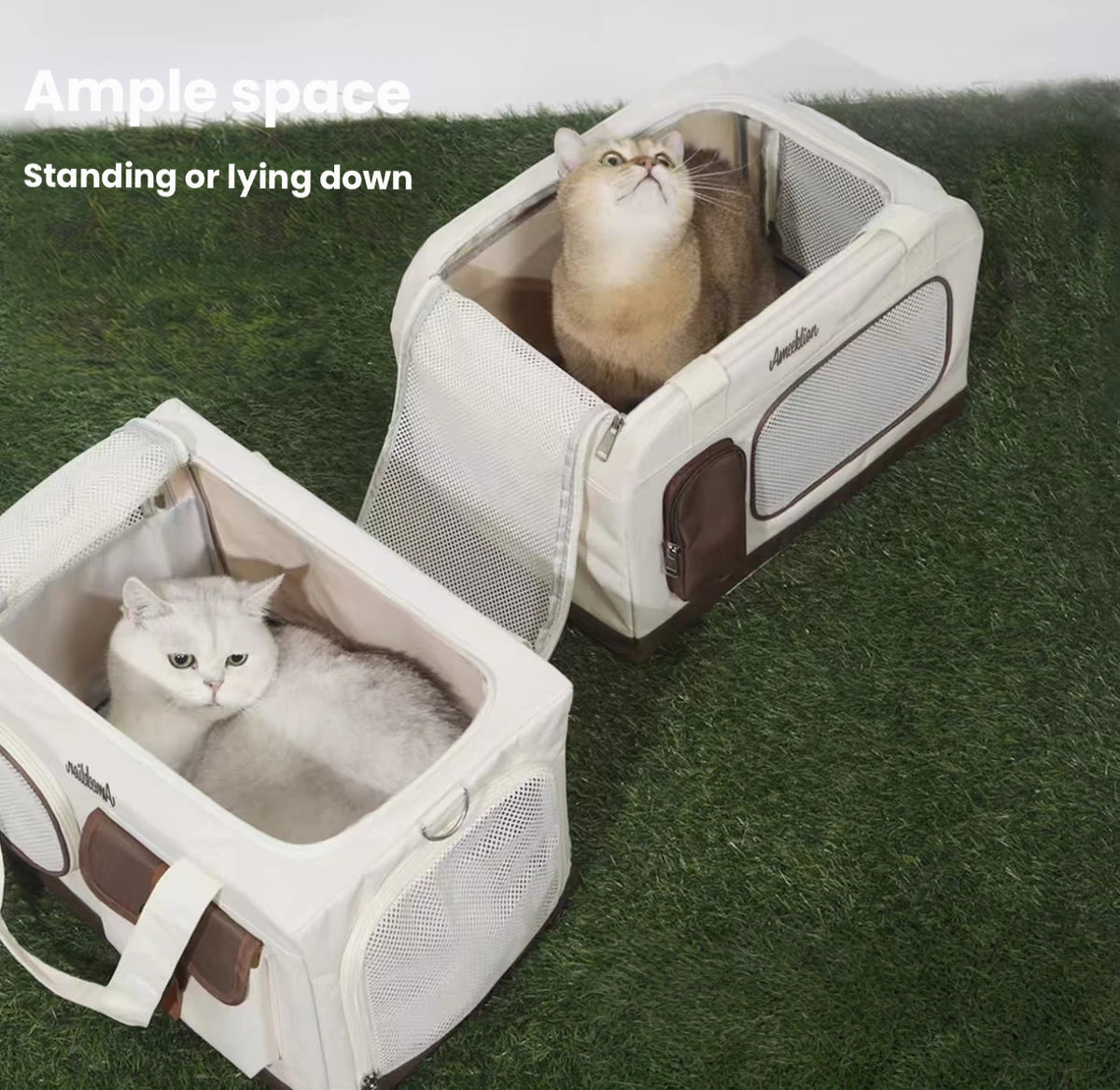 Double-Layer Cat Carrier with Wheels: Large, Breathable Pet Travel Bag