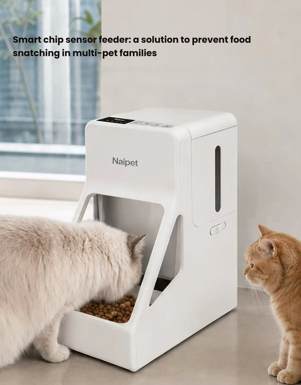 Petstar Microchip Automatic Cat Feeder for Multi-Cat Homes