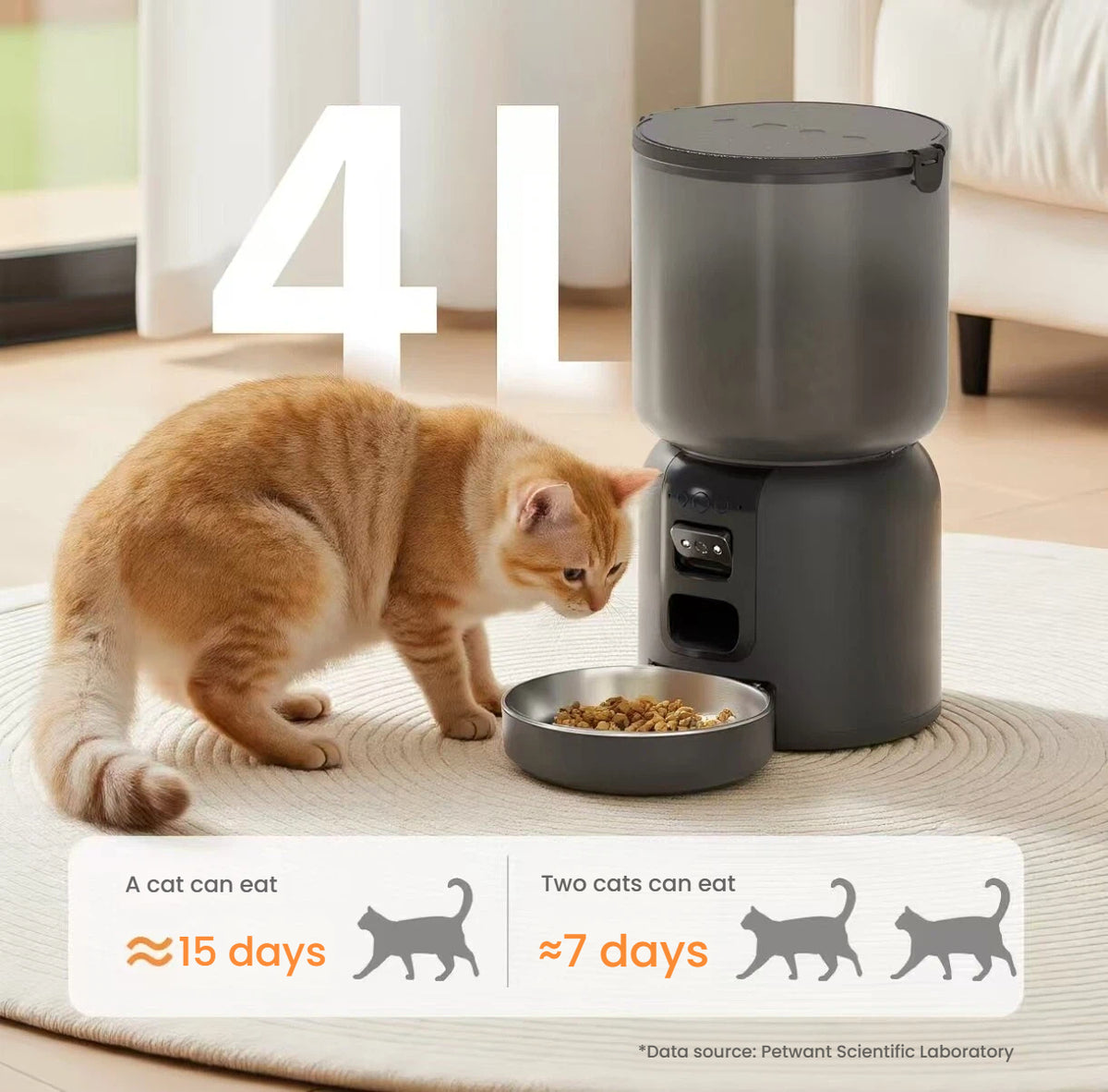 Petwant Automatic Cat Feeder with Camera, Timed & Portion Control