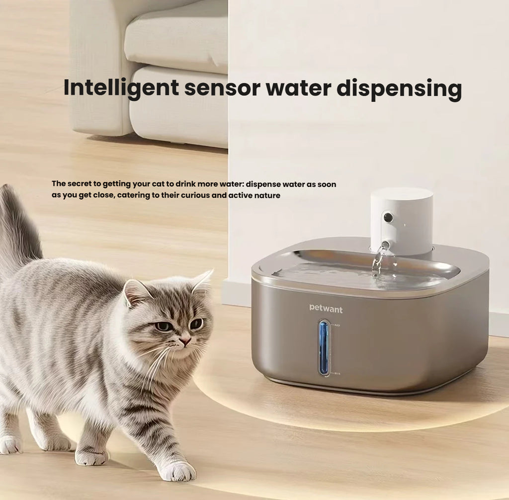 Petwant W4 Cordless Stainless Steel Cat Water Fountain