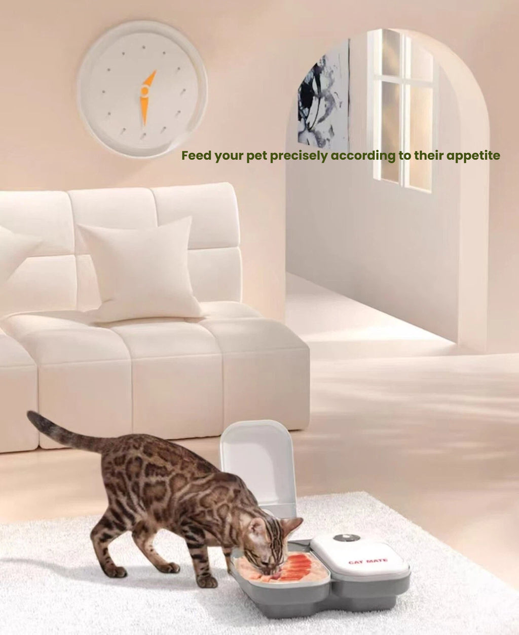 Cat eating from the CatMate timed wet-food feeder