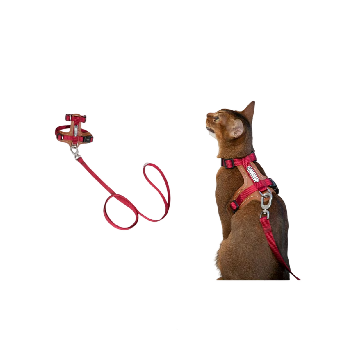 HiDREAM Leather Cat Harness and Leash Set - Adjustable Escape-Proof H-Style Vest