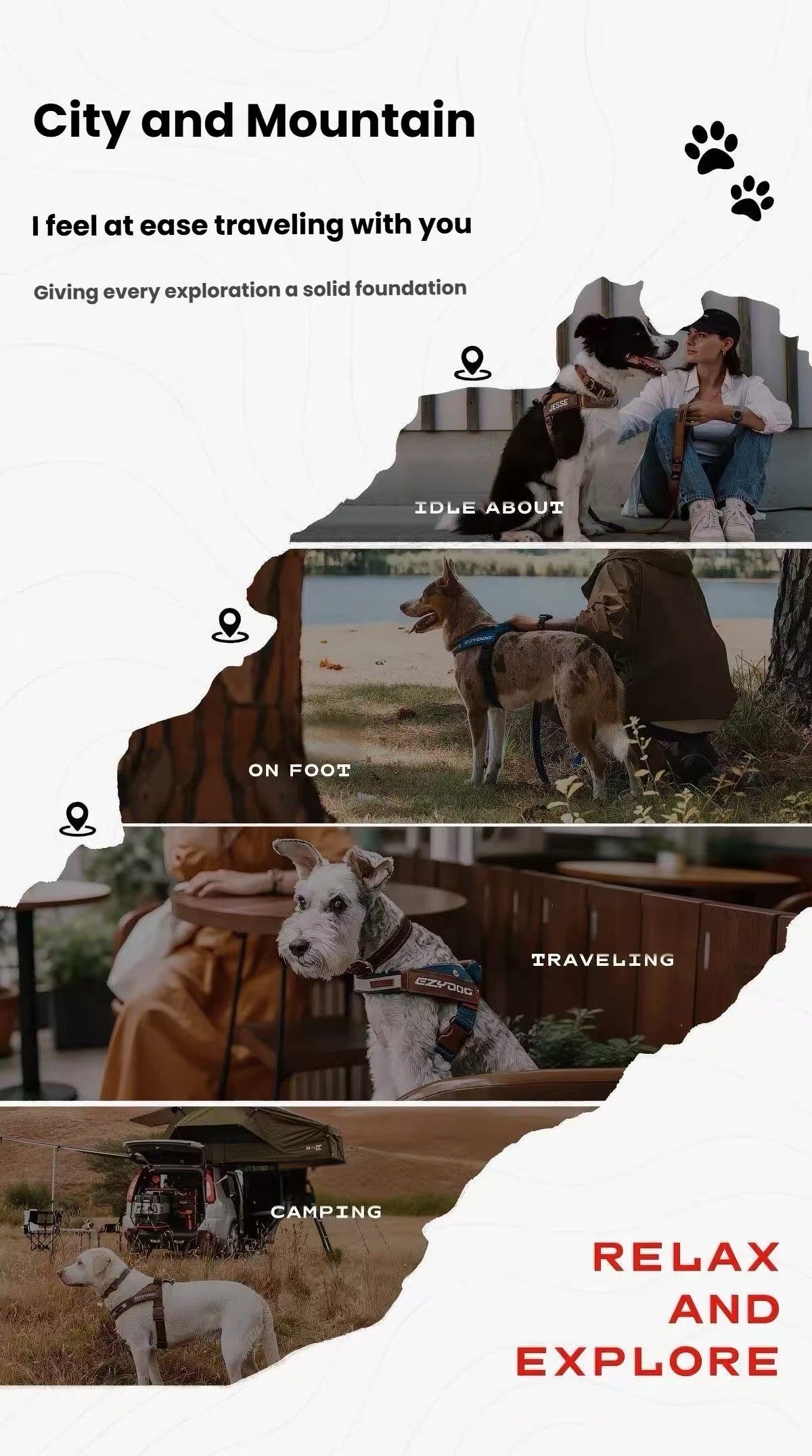 EzyDog Express Dog Harness.
