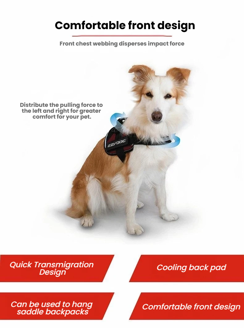 Dog wearing an EzyDog Convert harness, showing chest strap and side panel
