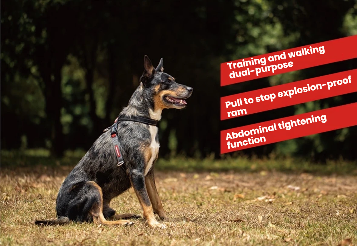 EzyDog Cross Check Dog Harness