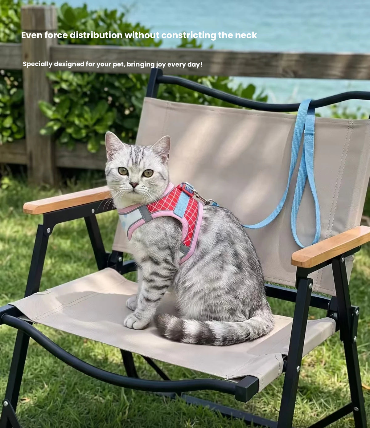 Adjustable Cat Harness with Leash, Escape-Proof Vest Design
