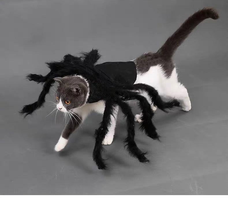 DogLemi Plush Spider Costume – Fun Dress-Up Outfit for Cats & Dogs