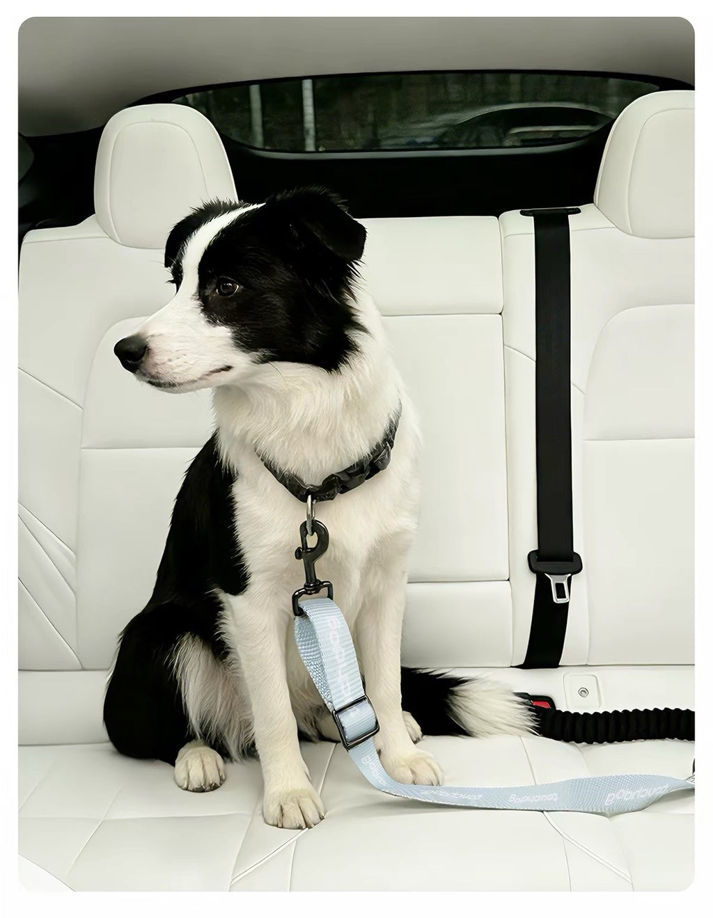 Touchdog Dog Car Seat Belt – Adjustable Safety Tether for Dogs