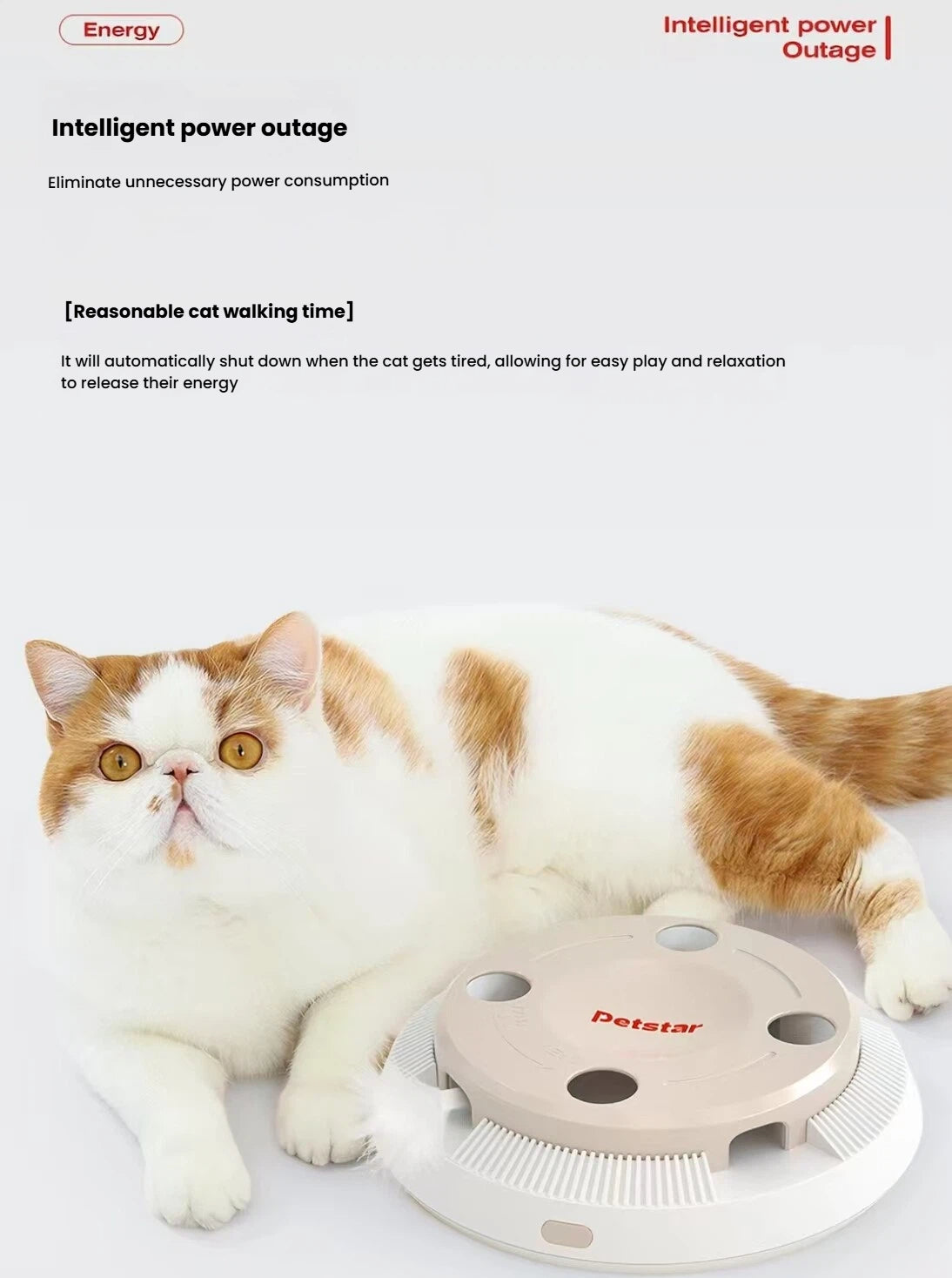 Petstar Interactive Automatic Cat Toy