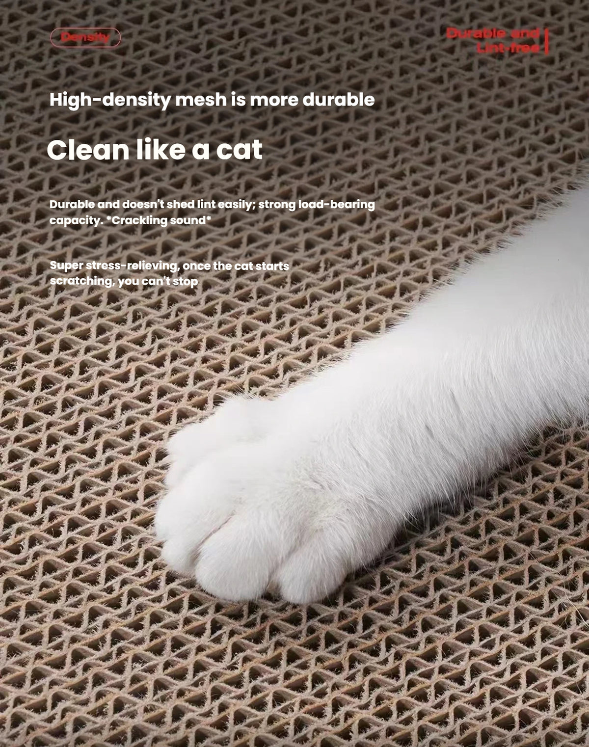 Close-up of a cat paw on the corrugated scratching surface