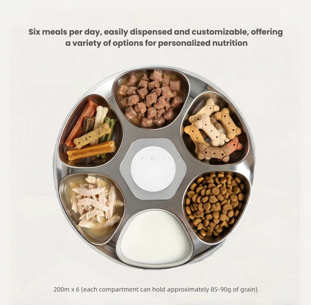 Petwant Smart Wet Food Feeder, Timed & Portion Control