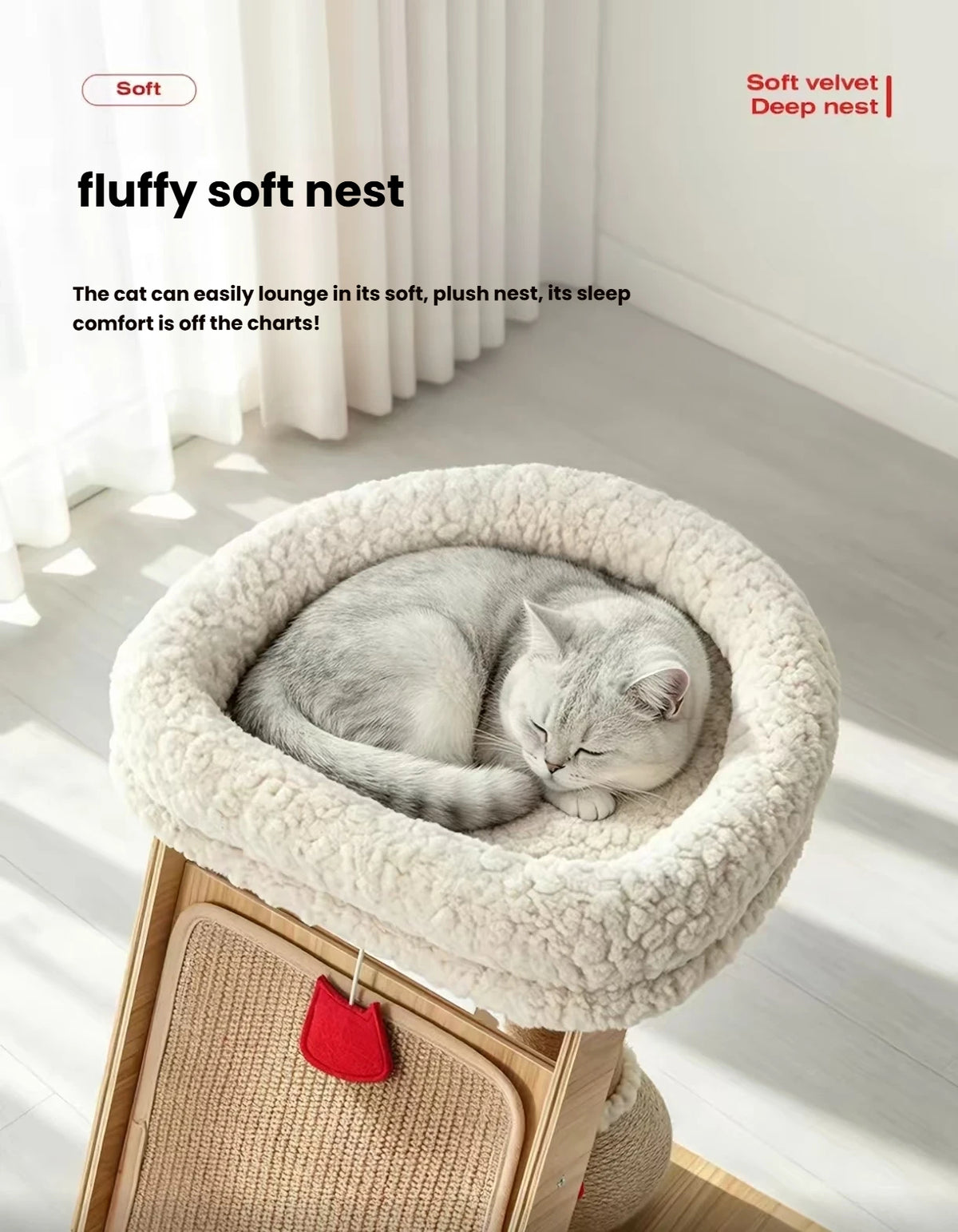 Close-up of a cat curled in the soft round perch