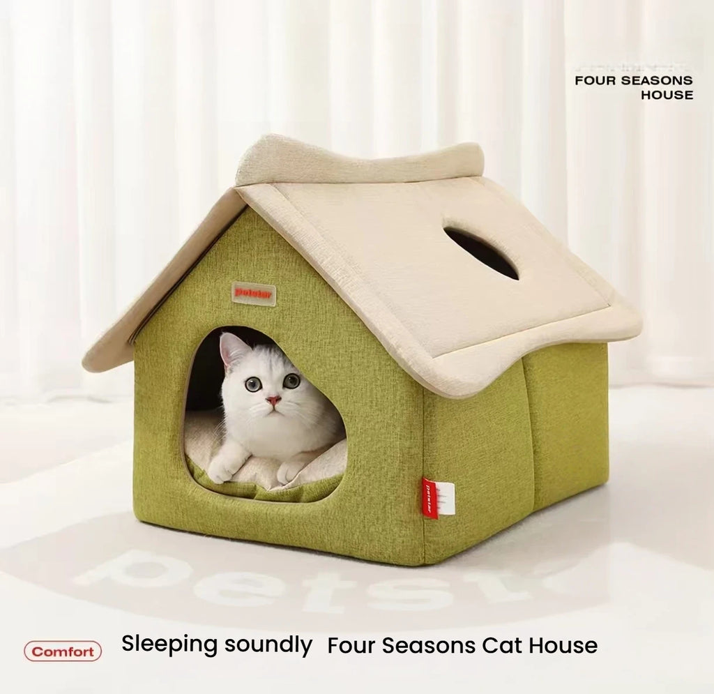 Cat sitting inside the front doorway of a green Petstar cat house