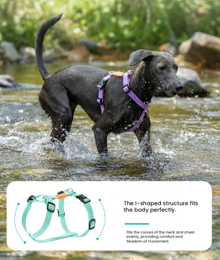 Dog wearing purple HOWGO harness in shallow water