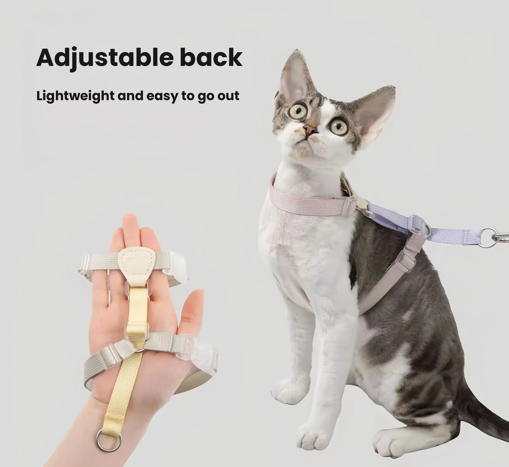 HiDREAM Escape-Resistant H-Style Cat Harness and Leash Set - Walking Harness for Devon Rex