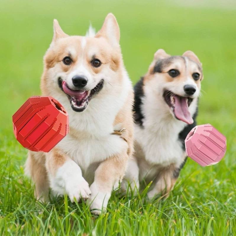 KONG Activity Ball Puppy Toy Assorted