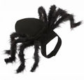 DogLemi Plush Spider Costume – Fun Dress-Up Outfit for Cats & Dogs