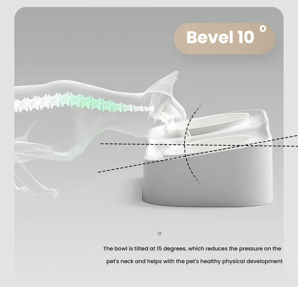 Ten-degree tilted inserts on the Popocola raised double pet bowl