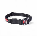 EzyDog Double Up Dog Collar