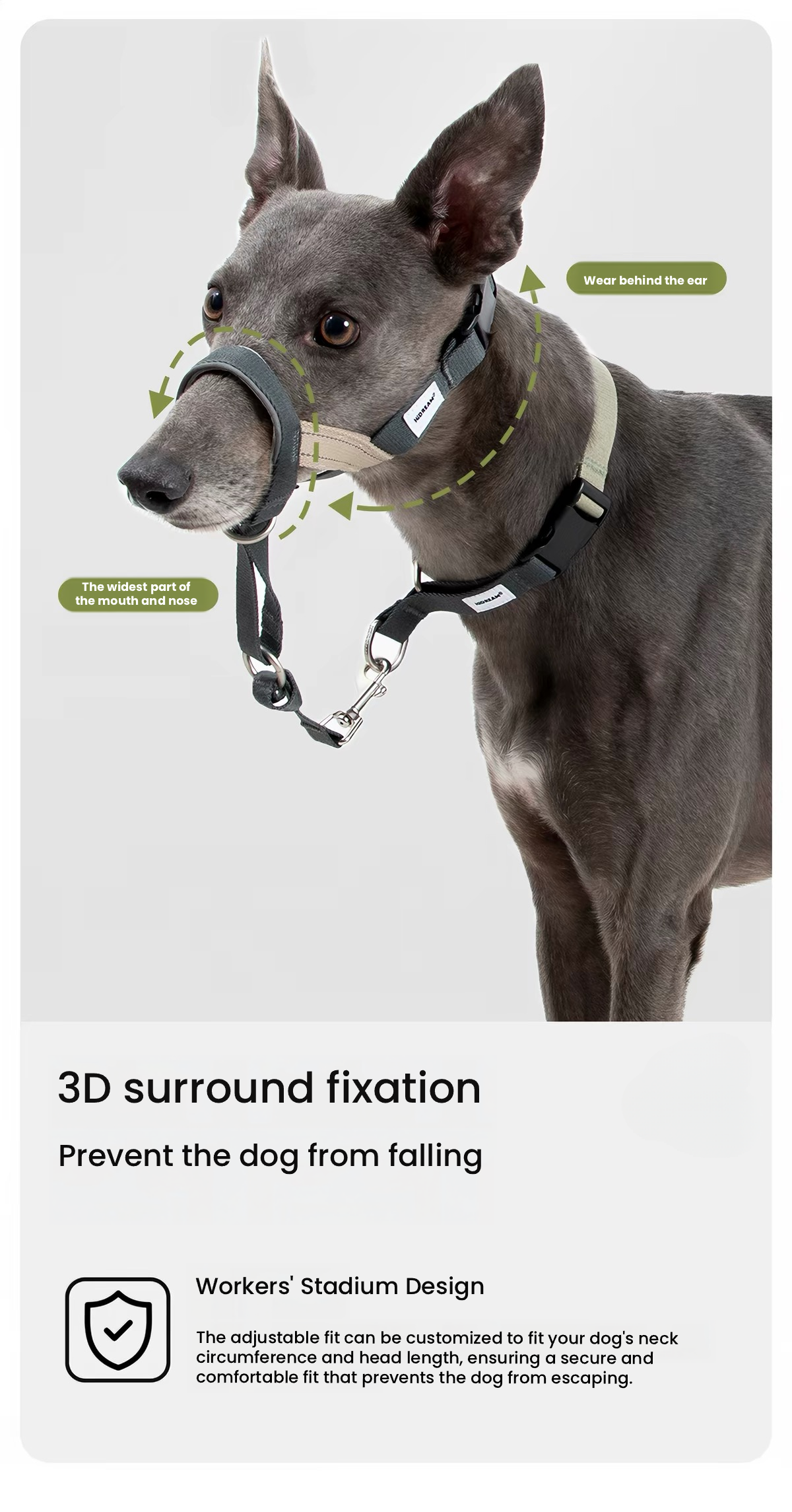HiDREAM Head Halter – Anti-Pull Training Aid