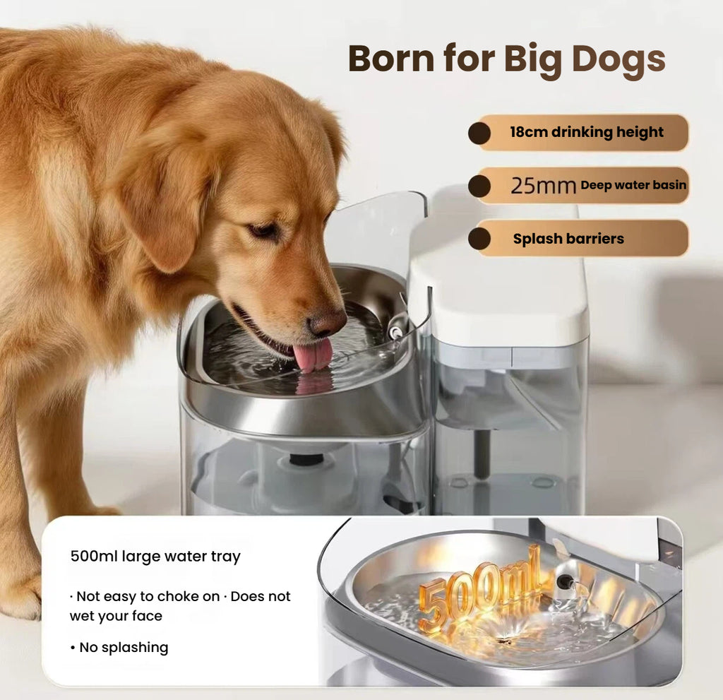 Petwant W14 11L Large Dog Water Fountain, Automatic Circulating
