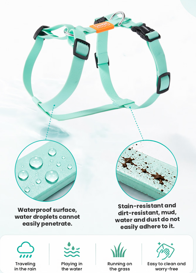 Mint green harness strap and surface detail diagram