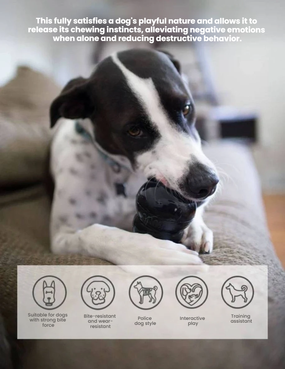 Dog chewing a black KONG Extreme toy indoors