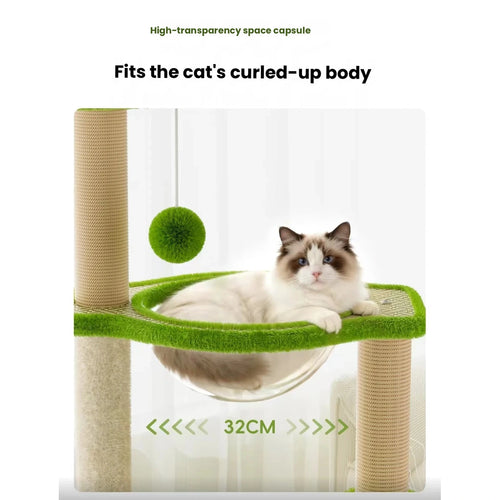 Tall green cat tree with multiple elevated resting platforms