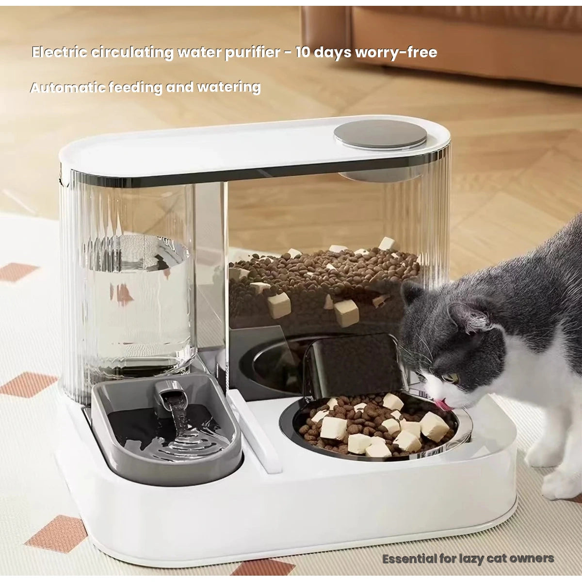 Cat eating from the combined pet feeder and water station