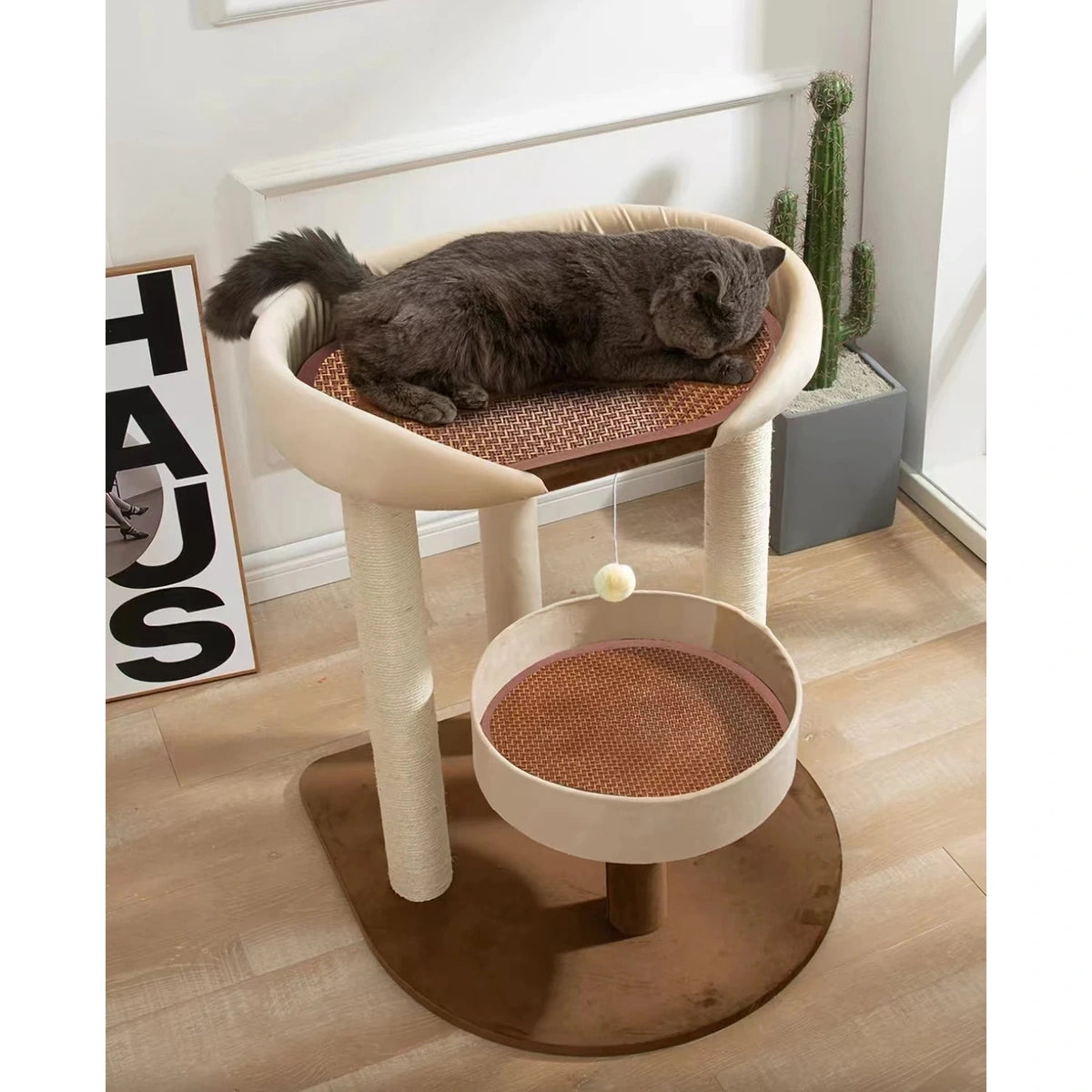 Cat sleeping in the raised bed of the multi-level cat tree