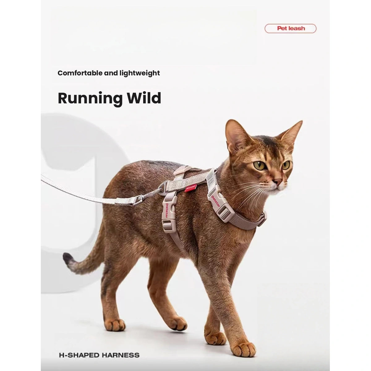 Cat wearing the lightweight Petstar H-style harness