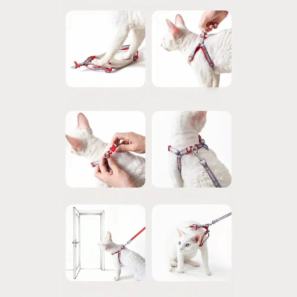 Petstar cat harness fitting and adjustment guide