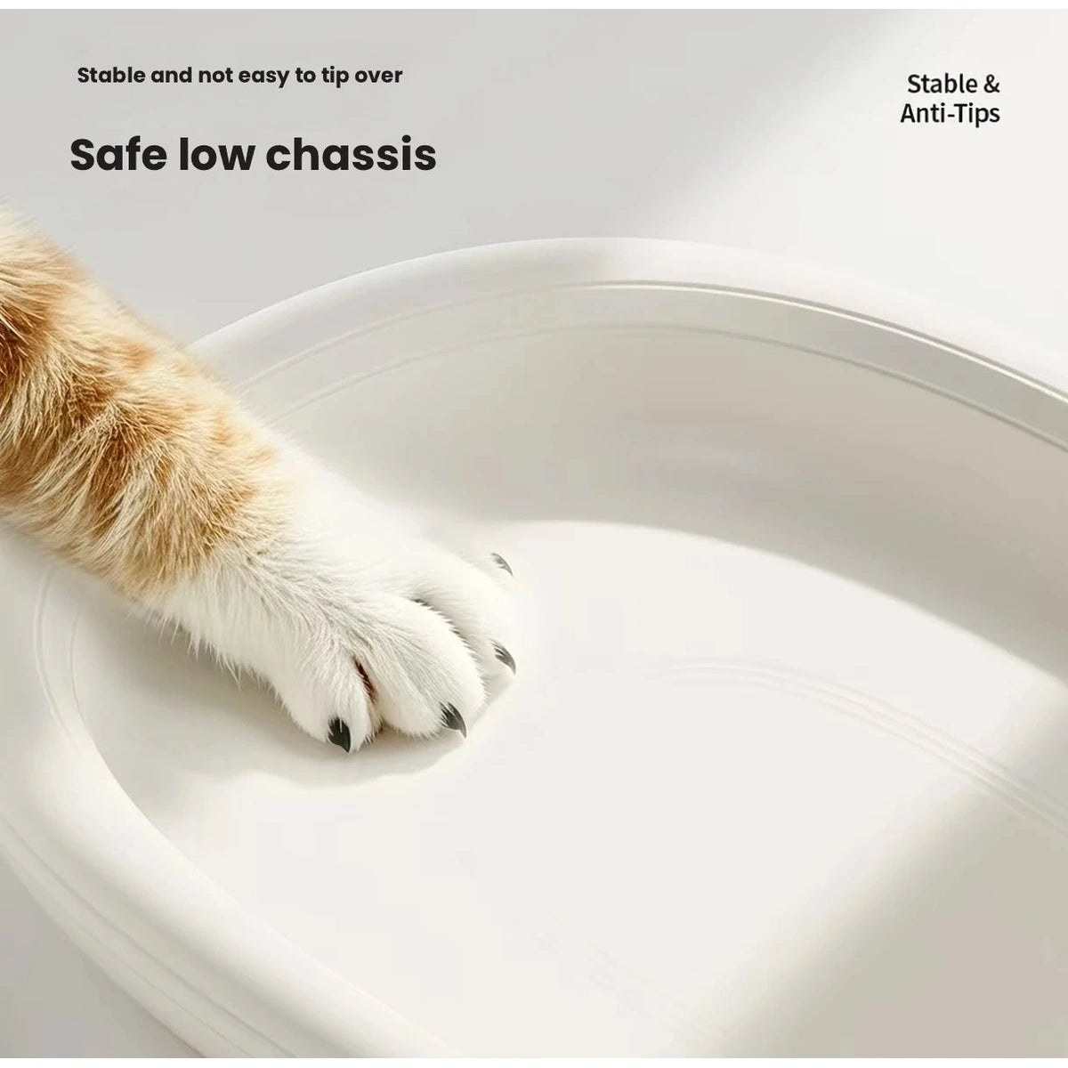 Close-up of the low side of the white oval pet bed beside a cat paw