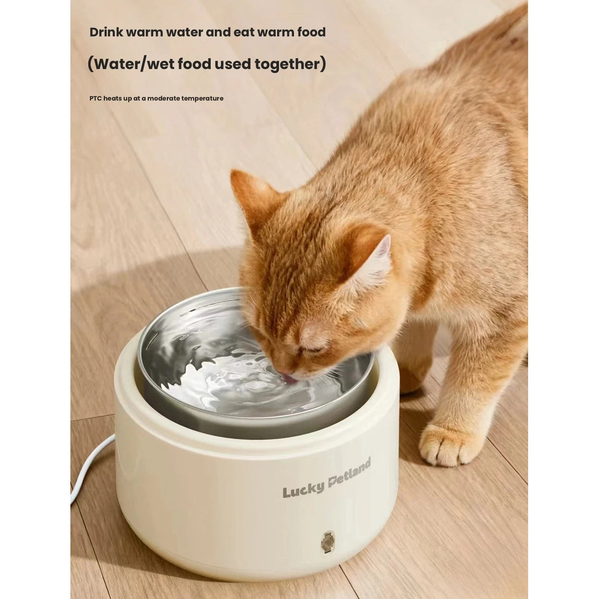 Cat drinking from the LuckyPetland heated pet water bowl