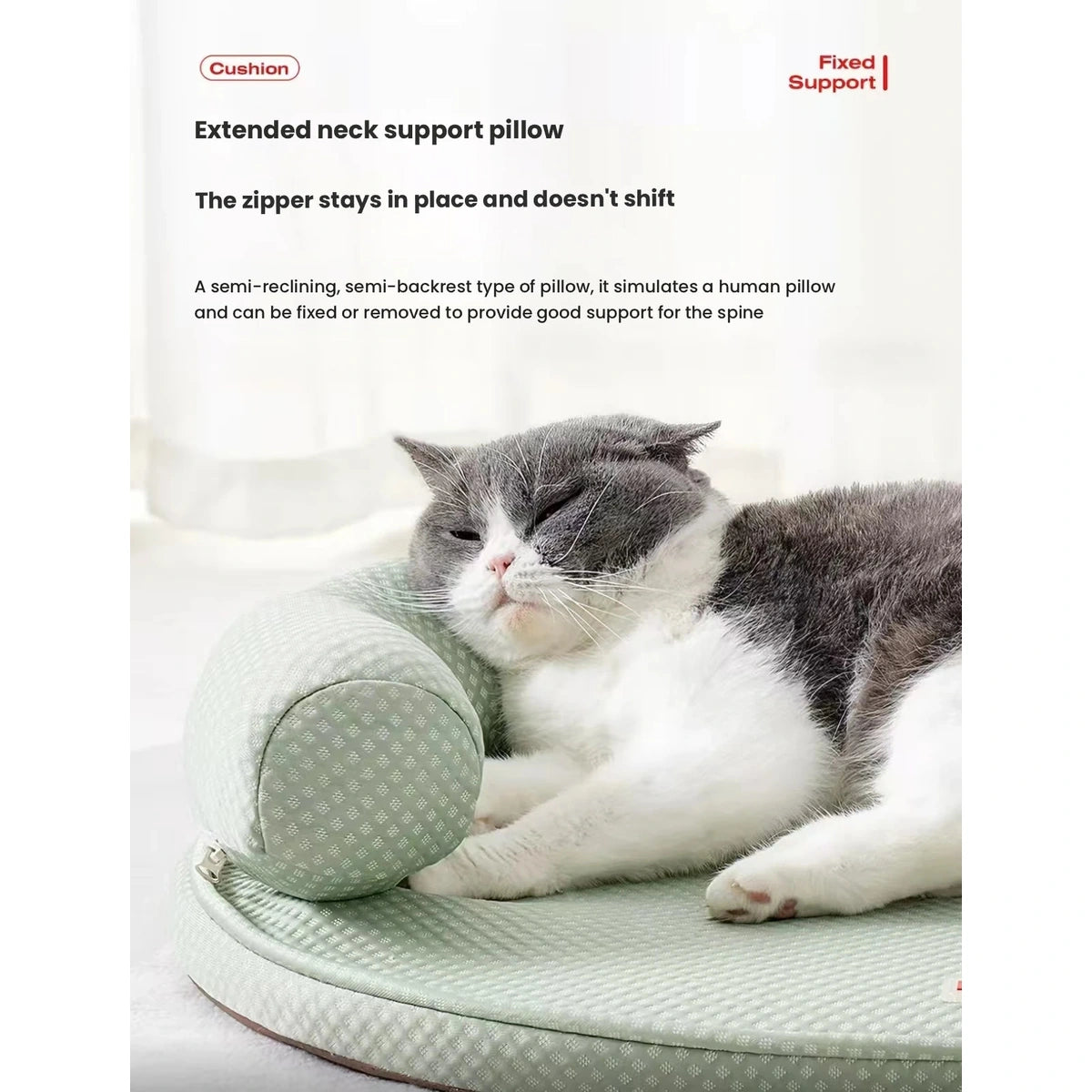 Close-up of cat leaning on the mat’s raised pillow edge