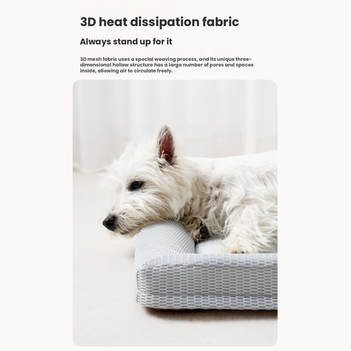 Dog resting on the Petstar cooling bed with fabric feature panel