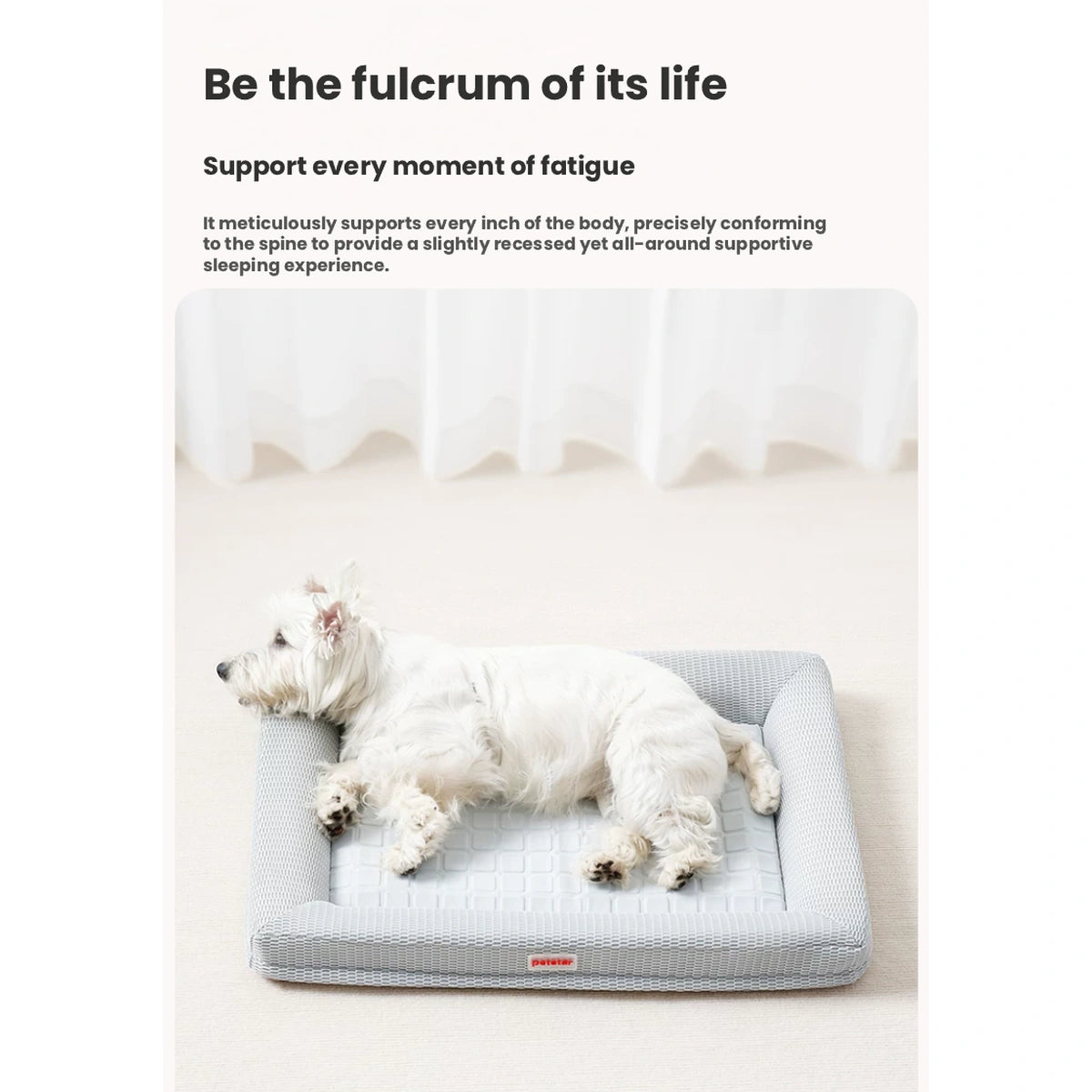 Dog on the Petstar cooling bed in a home scene
