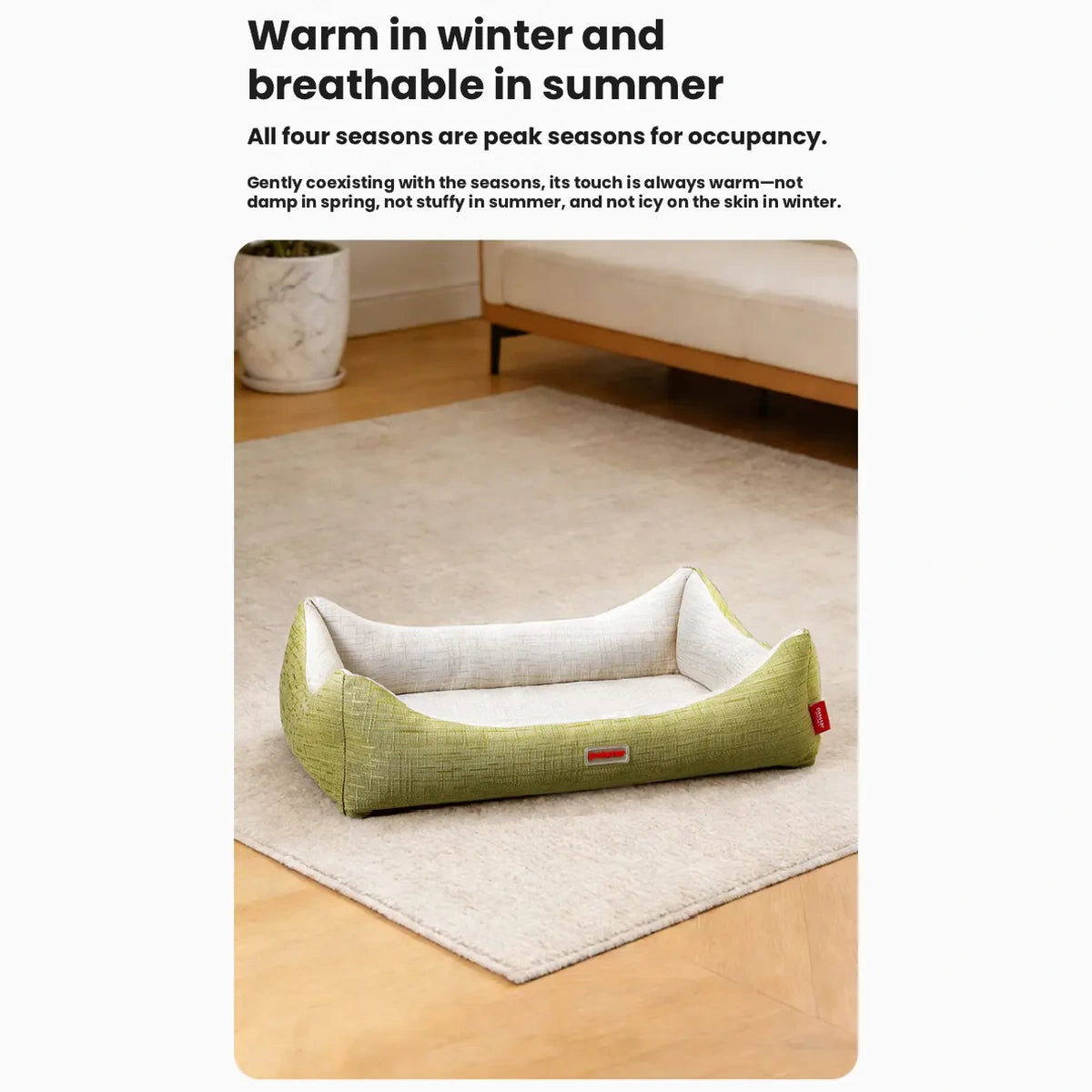 Petstar square pet bed shown in an indoor room